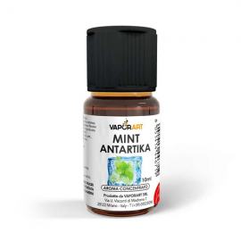 Delixia Aroma Mint Antartika