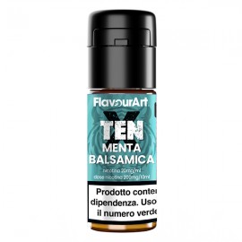 Flavourart TENX NicSalt Mint - 10ml