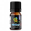 Reload Vape Flavor Monster Ice Strawberry Kiwi - 10ml