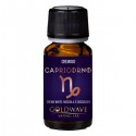 Goldwave Aroma - Zodiac Series - Capricorno - 10ml