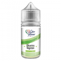 Cyber Flavour Full VG - 20ml