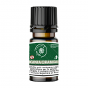 99 Clouds - Dinamizzati - Virginia Orange - 10ml
