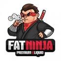 Fat Ninja